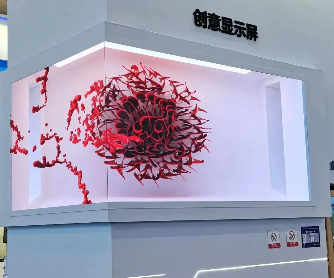 惊艳亮相南博会 | xkty.com星空打造视觉盛宴