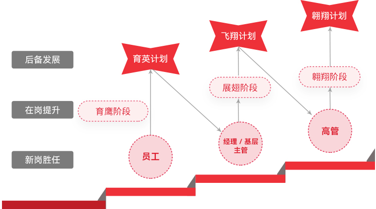 xkty.com星空 "雄鹰计划"人才梯队培养